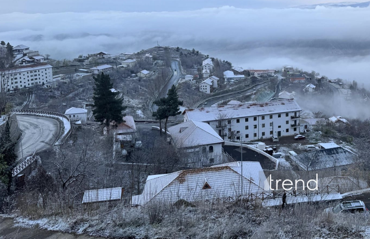 Laçına da qar yağır (FOTO)